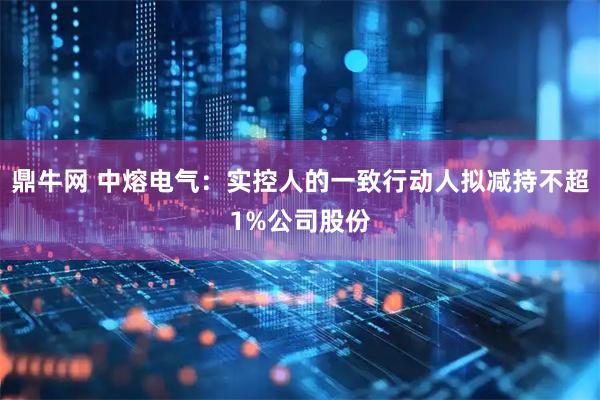 鼎牛网 中熔电气：实控人的一致行动人拟减持不超1%公司股份