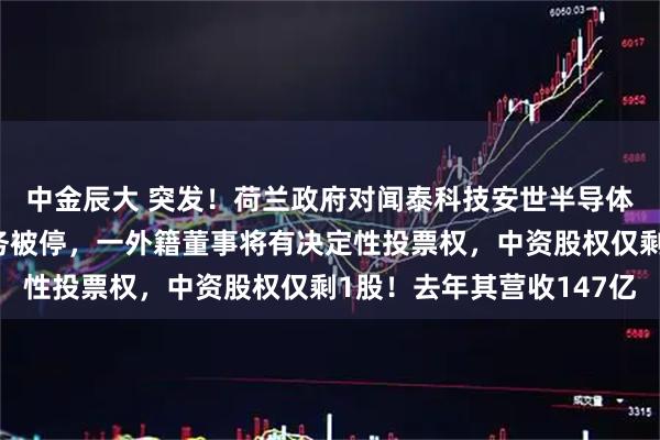 中金辰大 突发！荷兰政府对闻泰科技安世半导体下手：张学政董事职务被停，一外籍董事将有决定性投票权，中资股权仅剩1股！去年其营收147亿
