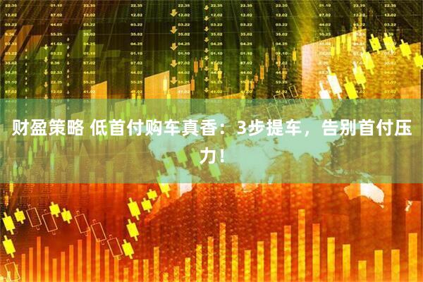 财盈策略 低首付购车真香：3步提车，告别首付压力！
