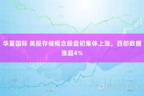 华夏国际 美股存储概念股盘初集体上涨，西部数据涨超4%