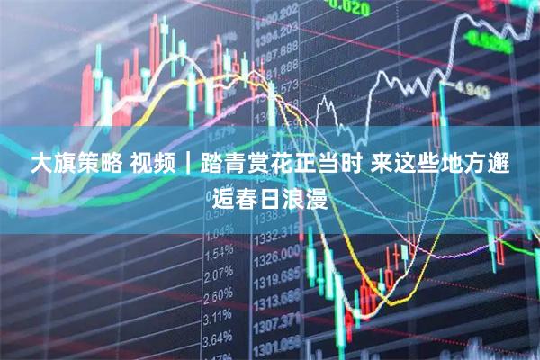 大旗策略 视频｜踏青赏花正当时 来这些地方邂逅春日浪漫