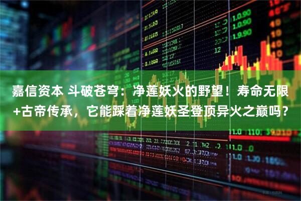 嘉信资本 斗破苍穹：净莲妖火的野望！寿命无限+古帝传承，它能踩着净莲妖圣登顶异火之巅吗？