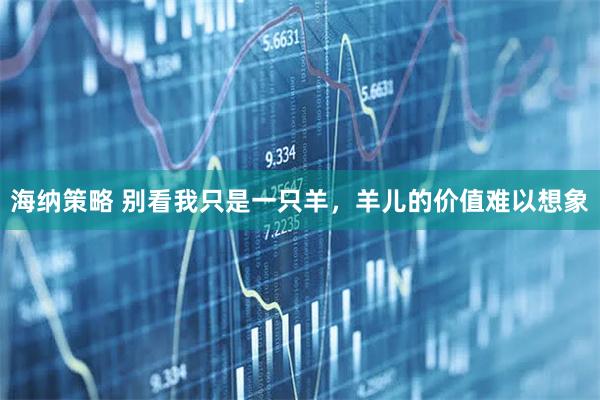 海纳策略 别看我只是一只羊，羊儿的价值难以想象